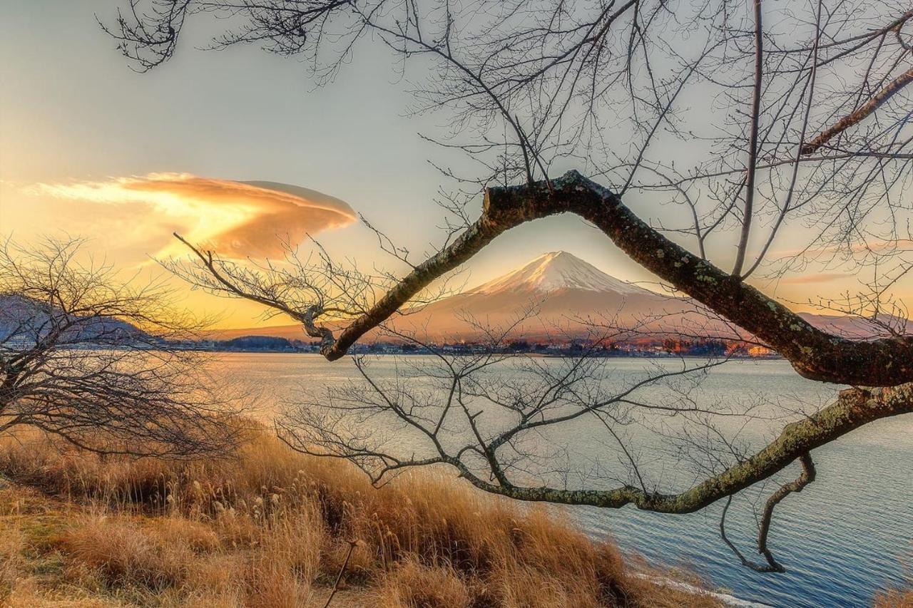 tocoro. Mt.Fuji Uzuki Villa Fujikawaguchiko Eksteriør billede