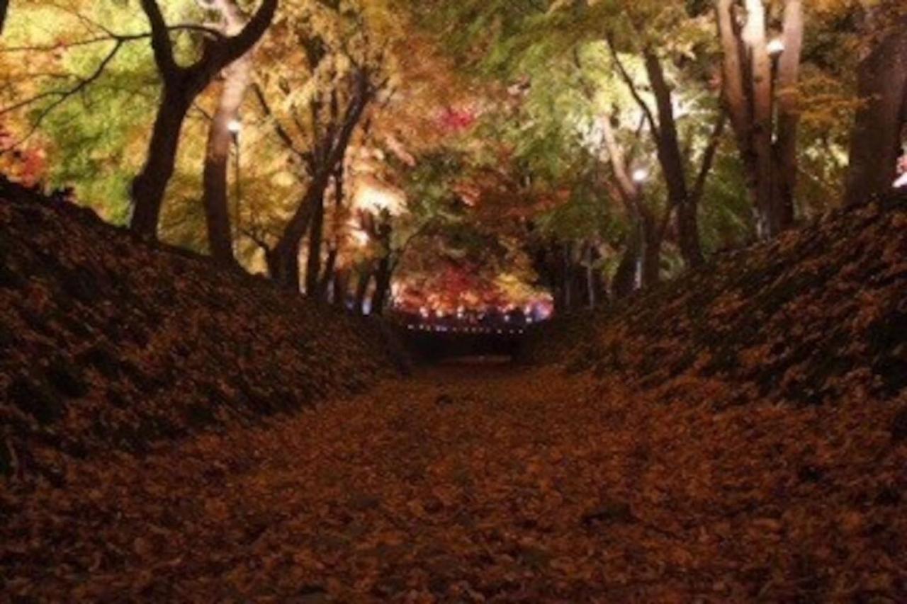 tocoro. Mt.Fuji Uzuki Villa Fujikawaguchiko Eksteriør billede